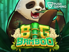 New online casino4